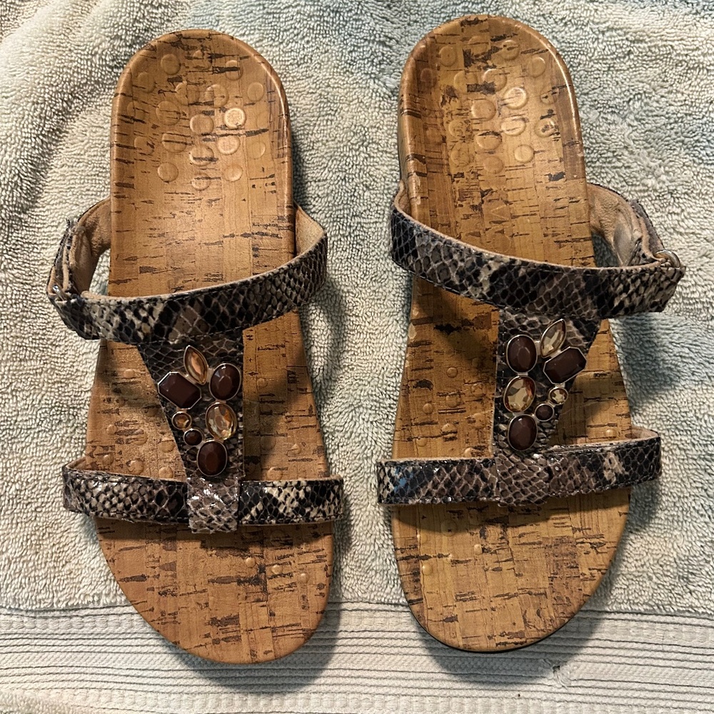 VIONIC Slides